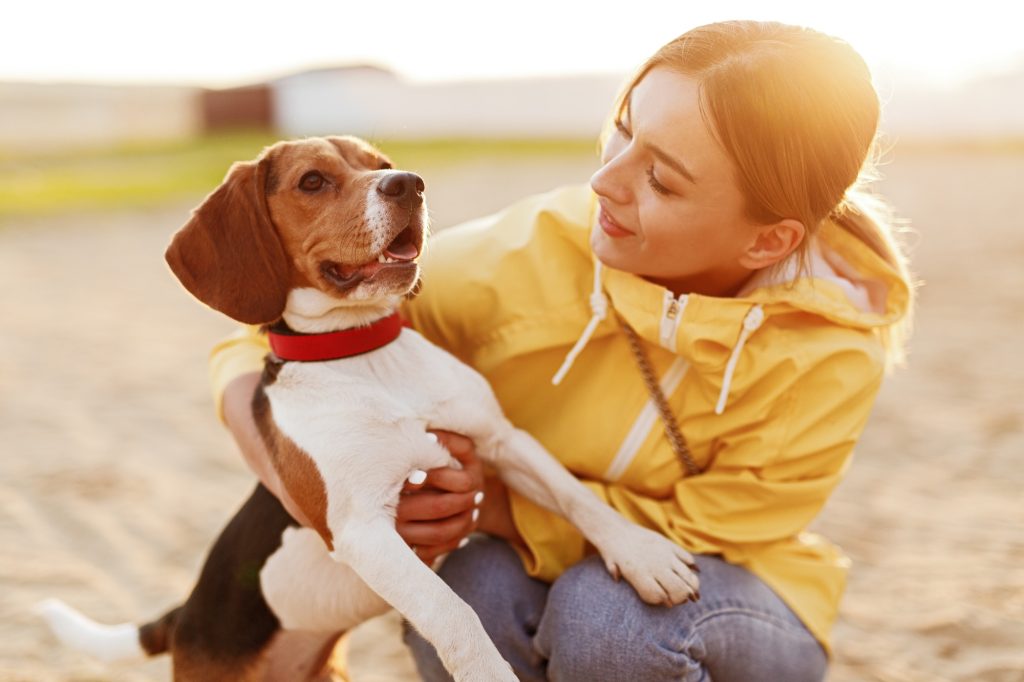 Happy woman hugging funny dog on street